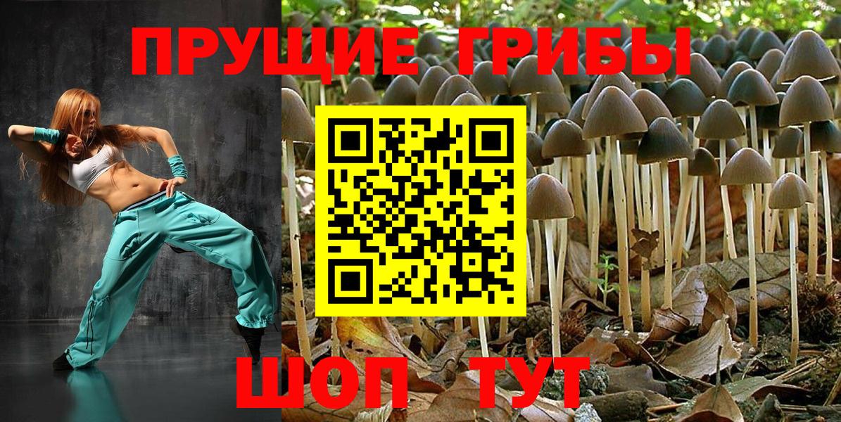 что такое наркотик  Псилоцибиновые грибы мухоморы  Волжский  Вход с VPN  Галлюциногенные грибы ЛСД 